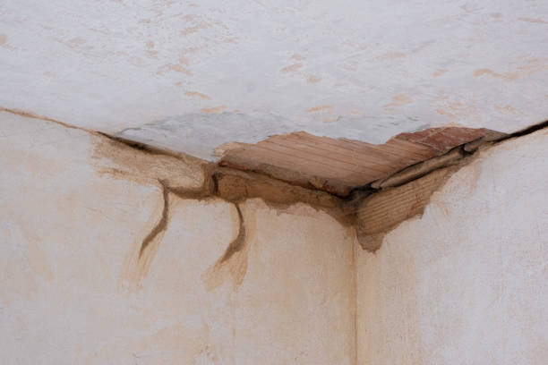 Professional Water damage restoration in San Pasqual, CA