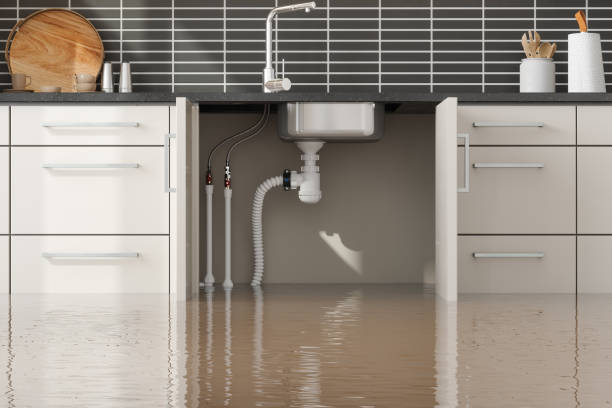 Best Mold removal after water damage  in San Pasqual, CA